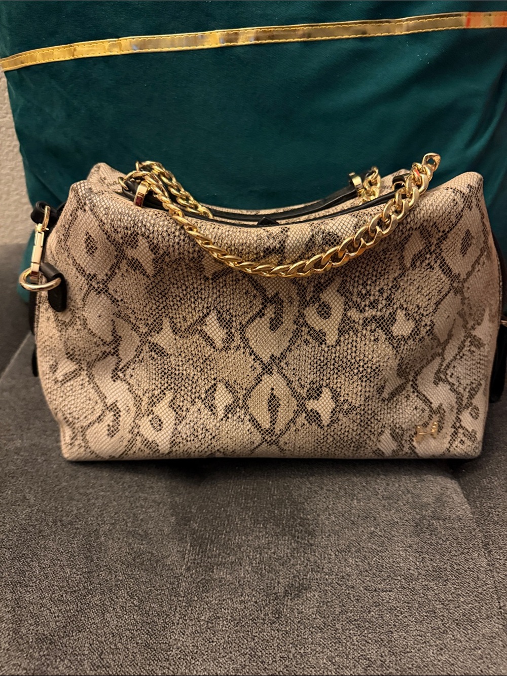 Snake-Print Chain Handle Women’s Shoulder Bag - Beige
